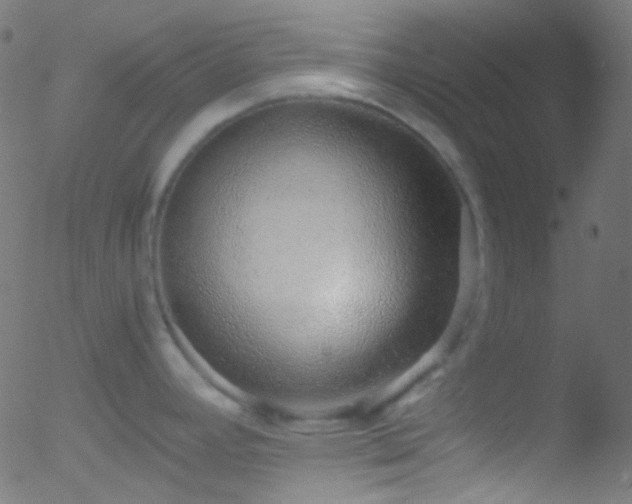 X0000052551392200507011119