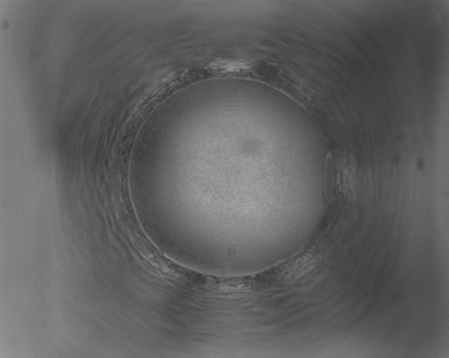 X0000052551393200507011118