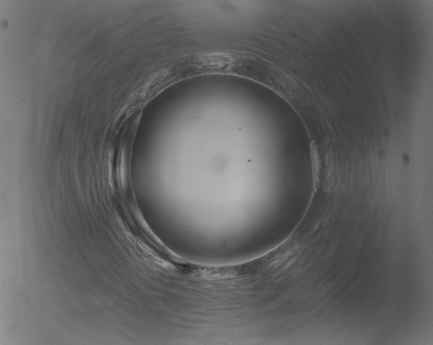 X0000052551394200507011118