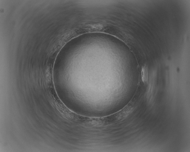 X0000052551395200507011118