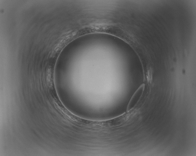 X0000052551396200507011118