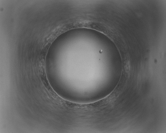 X0000052551397200507011118