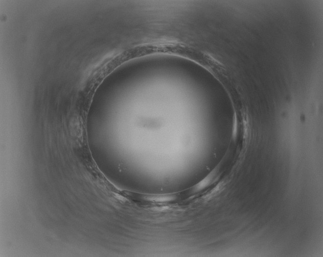 X0000052551398200507011118