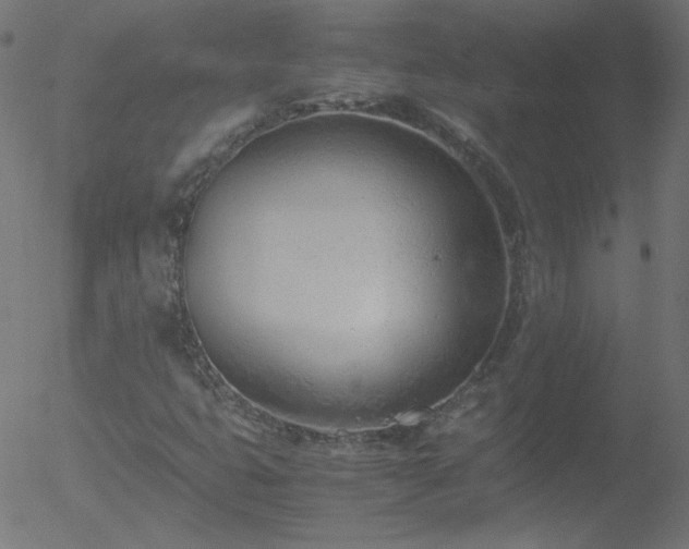 X0000052551399200507011118