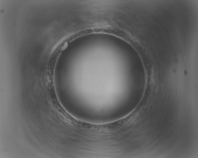 X0000052551400200507011119