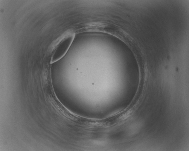 X0000052551401200507011119