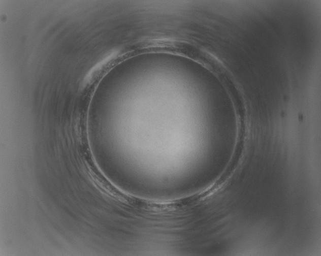 X0000052551403200507011119