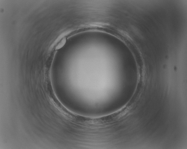 X0000052551404200507011119