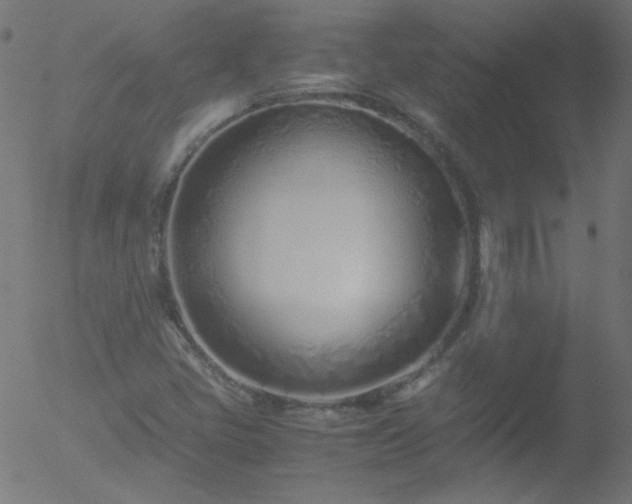 X0000052551405200507011119