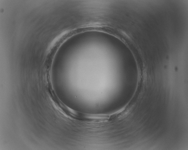 X0000052551406200507011119