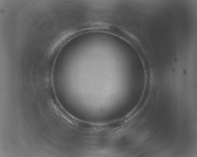 X0000052551407200507011119