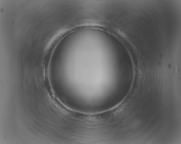 X0000052551408200507011119