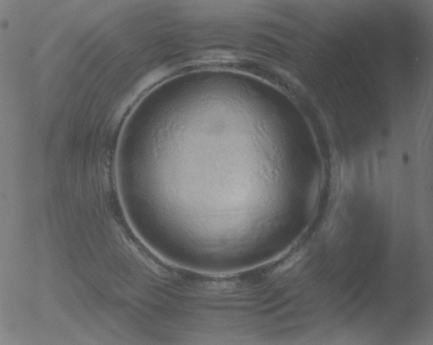 X0000052551409200507011119