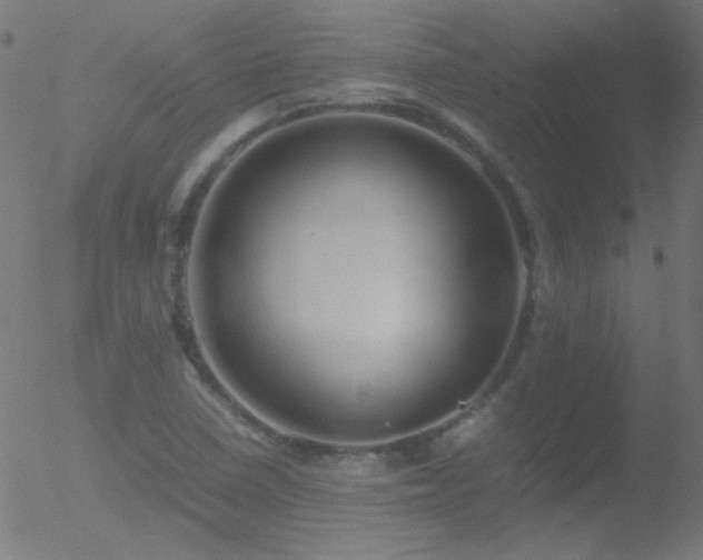 X0000052551410200507011119