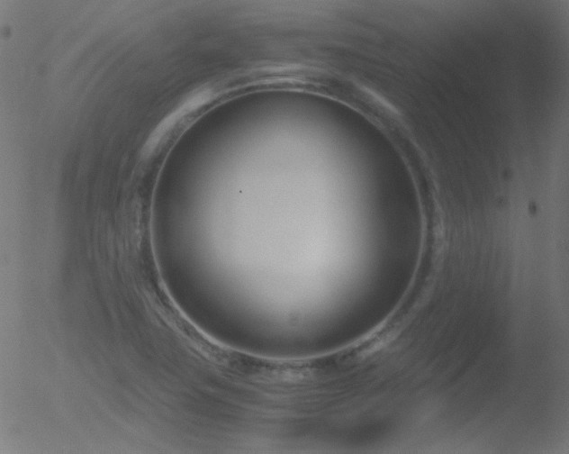 X0000052551411200507011119