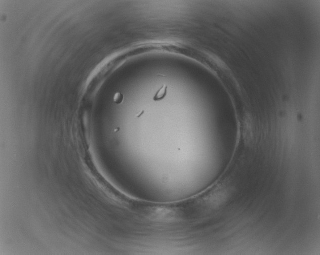 X0000052551412200507011119