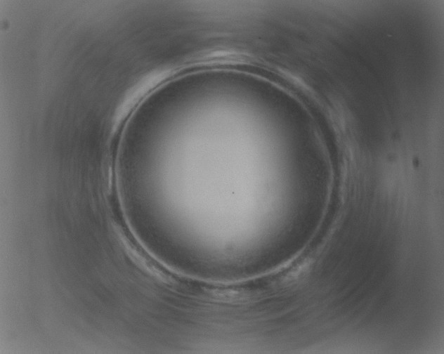 X0000052551413200507011119