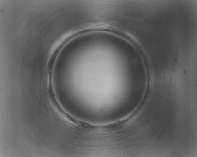 X0000052551414200507011119