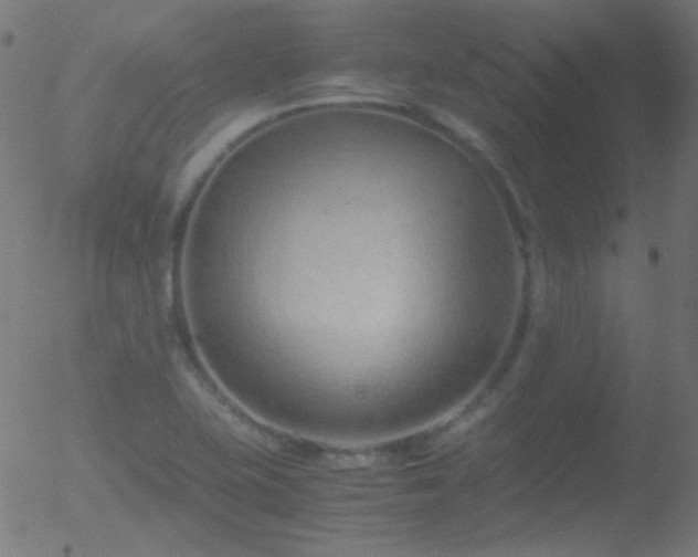 X0000052551415200507011119