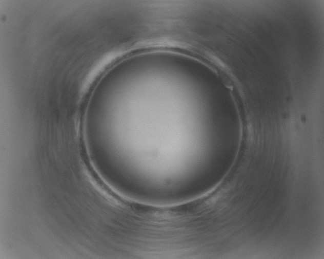 X0000052551416200507011119