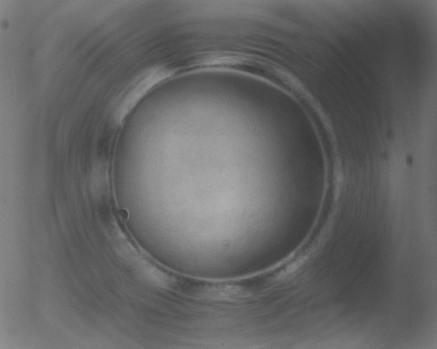 X0000052551417200507011119