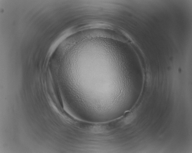 X0000052551418200507011119