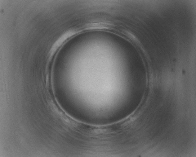 X0000052551419200507011119