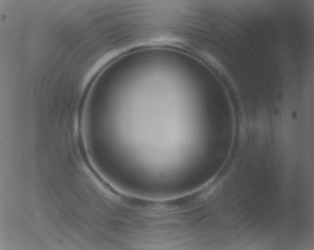 X0000052551420200507011119