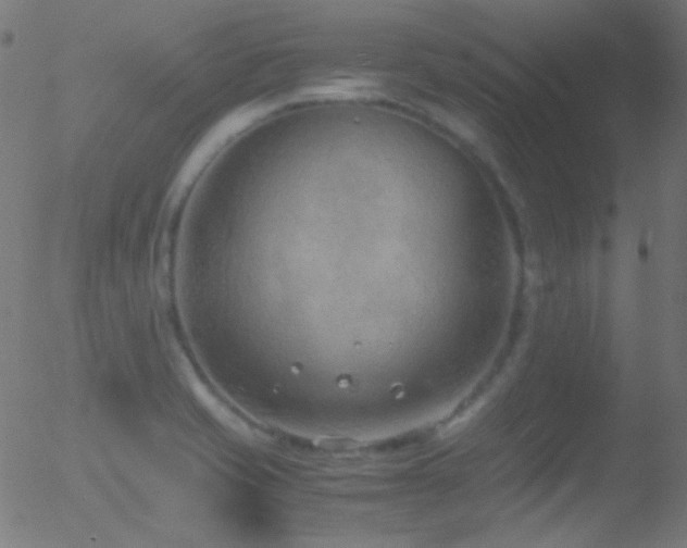 X0000052551421200507011119