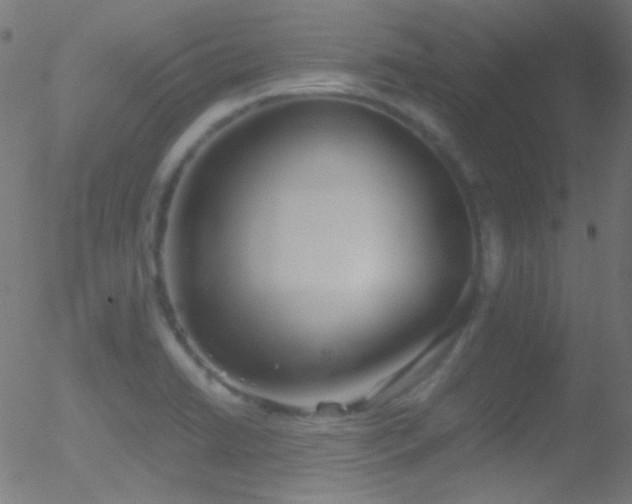 X0000052551422200507011119