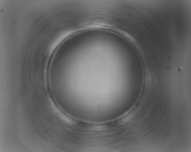 X0000052551423200507011119