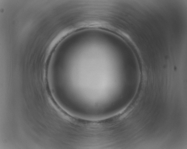 X0000052551424200507011119