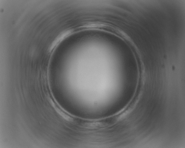 X0000052551425200507011119