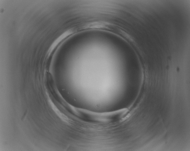 X0000052551426200507011119