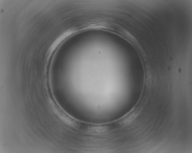 X0000052551427200507011119