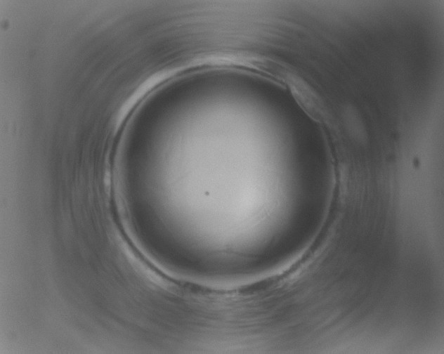 X0000052551428200507011119