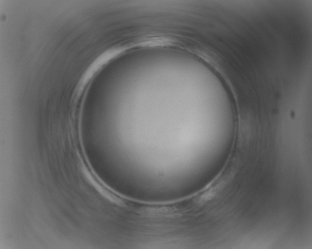 X0000052551429200507011119