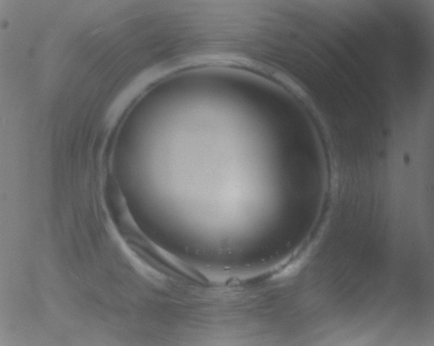 X0000052551430200507011119