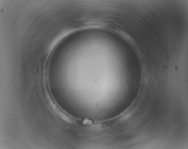 X0000052551431200507011119