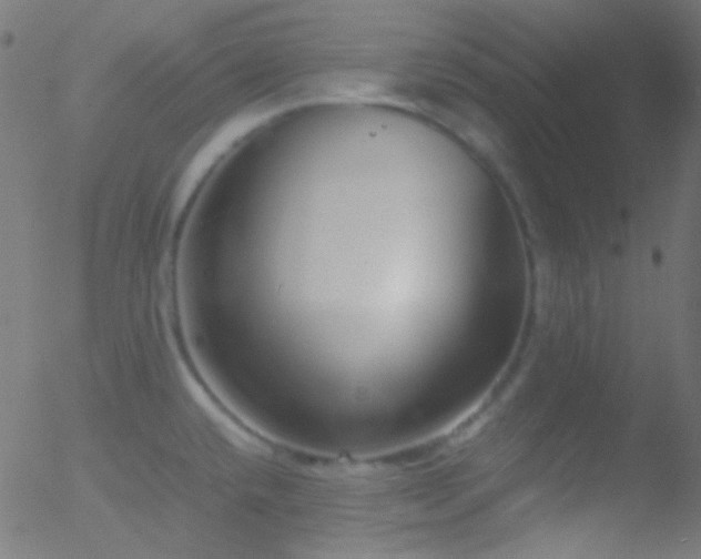 X0000052551432200507011119