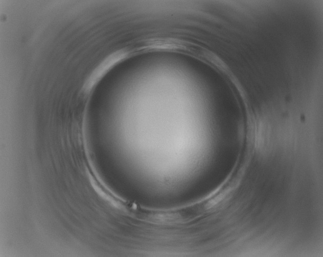 X0000052551433200507011119