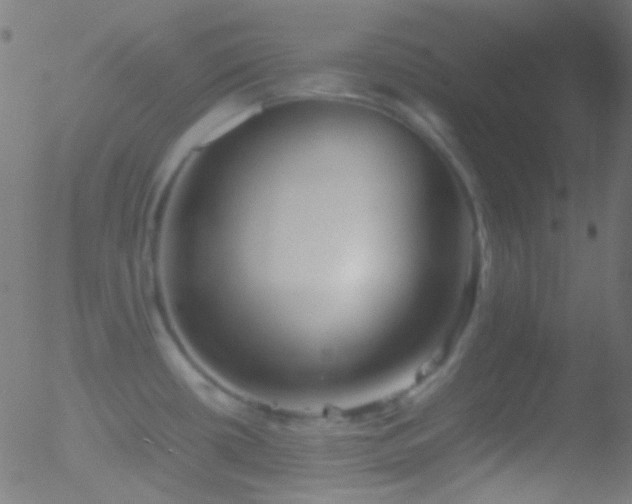 X0000052551434200507011119