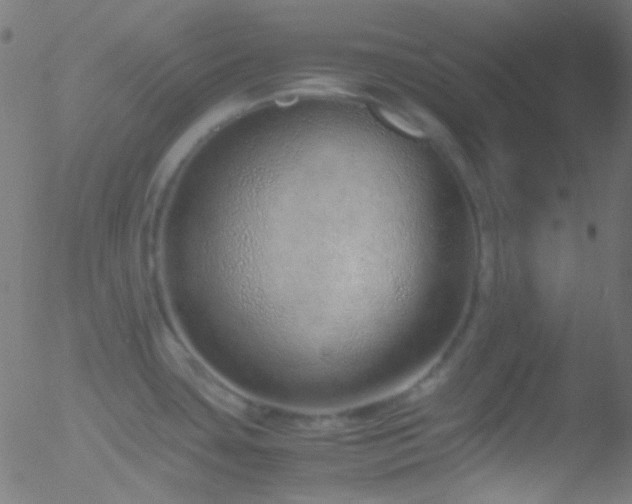 X0000052551435200507011119