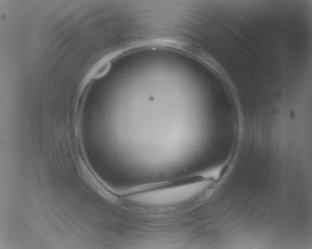 X0000052551436200507011119