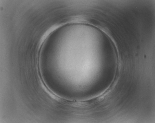 X0000052551437200507011119