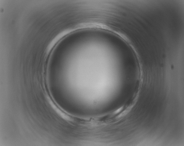 X0000052551438200507011119