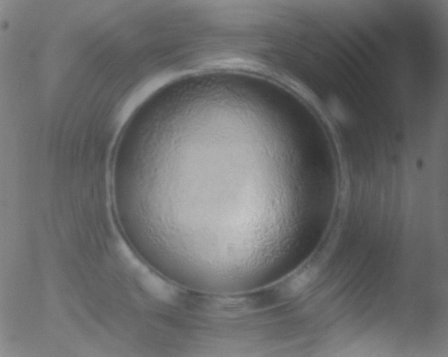 X0000052551439200507011119