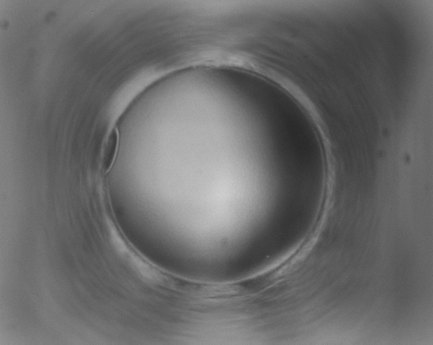 X0000052551440200507011119