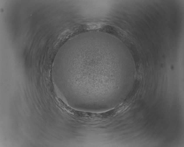 X0000052551441200507011118