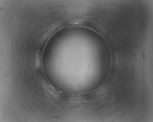 X0000052551442200507011118